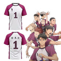 Custom Shiratorizawa Academy Team Jersey Haikyu Cosplay - Item - BYTOODAY