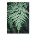 Green Fern Pattern Wall Decor - Item - BYTOODAY