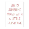 Hurricane Sunshine Cute Pink Wall Decor - Item - BYTOODAY