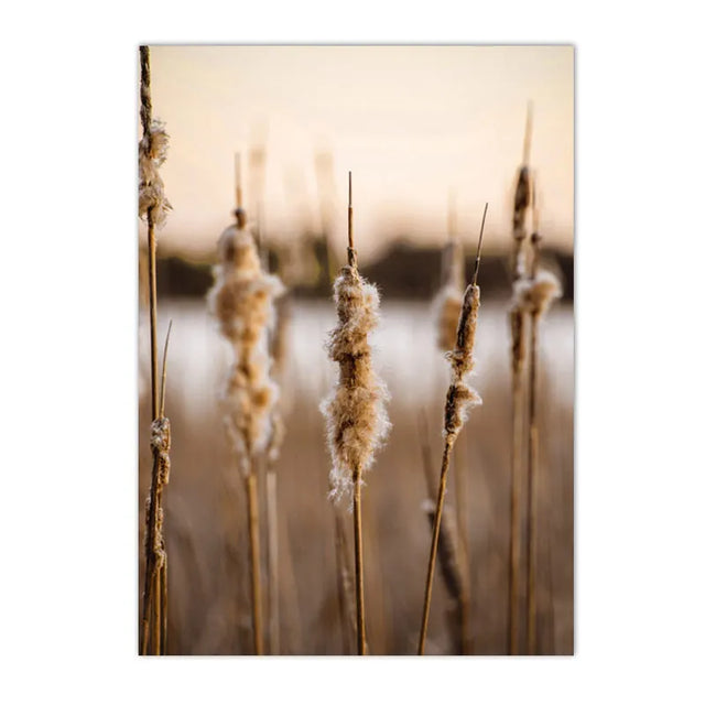 Natural Landscapes Theme Canvas Wall Decor - Item - BYTOODAY