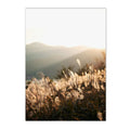 Natural Landscapes Theme Canvas Wall Decor - Item - BYTOODAY