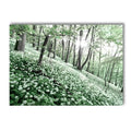 Natural Landscapes Theme Canvas Wall Decor - Item - BYTOODAY