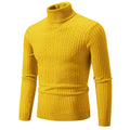 Stylish Men Slim Fit Turtleneck - Item - BYTOODAY