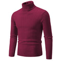 Stylish Men Slim Fit Turtleneck - Item - BYTOODAY