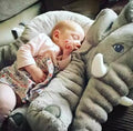 Big Cute Soft Elephant Plush & Pillow - Item - BYTOODAY