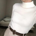 Bodycon Turtleneck Sweater - Item - BYTOODAY