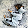 Cute Dog Tracksuit Set - Item - BYTOODAY