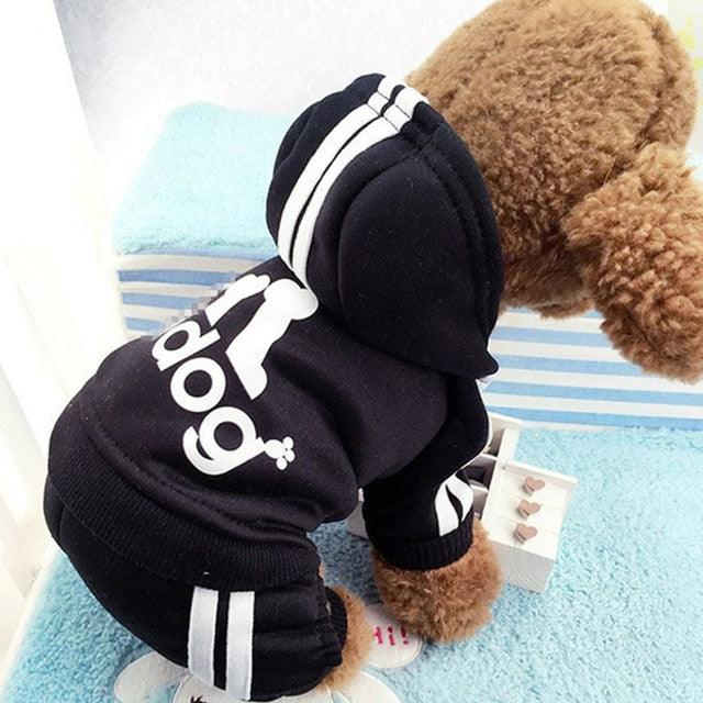 Cute Dog Tracksuit Set - Item - BYTOODAY