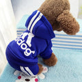 Cute Dog Tracksuit Set - Item - BYTOODAY