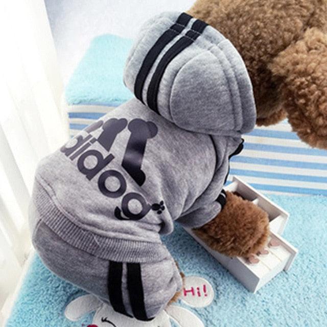 Cute Dog Tracksuit Set - Item - BYTOODAY