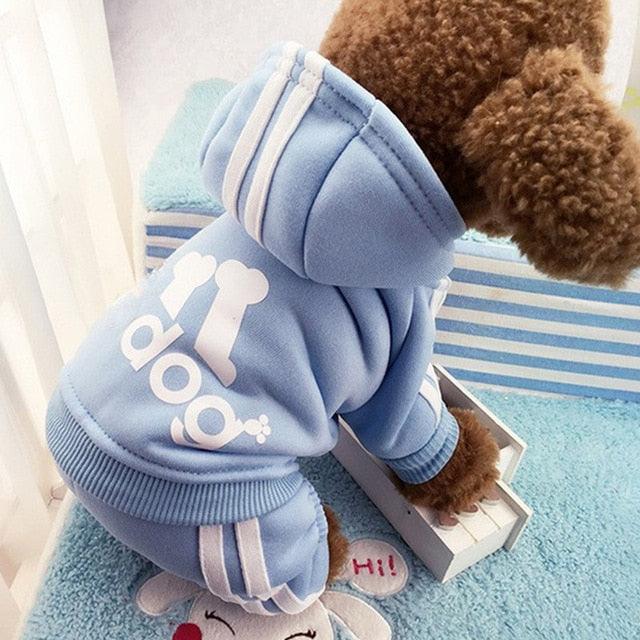 Cute Dog Tracksuit Set - Item - BYTOODAY