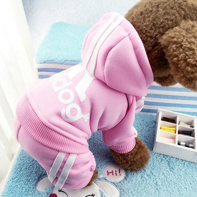 Cute Dog Tracksuit Set - Item - BYTOODAY