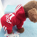 Cute Dog Tracksuit Set - Item - BYTOODAY