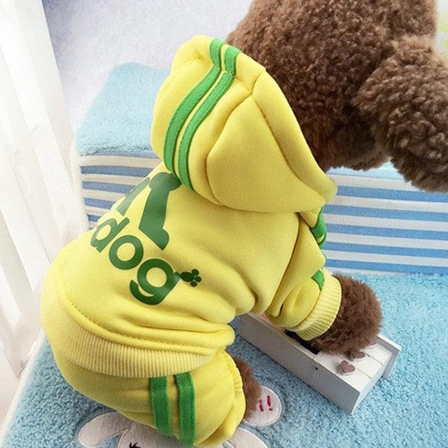 Cute Dog Tracksuit Set - Item - BYTOODAY