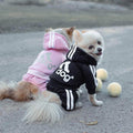 Cute Dog Tracksuit Set - Item - BYTOODAY