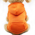 Winter Hoodie for Dog - Item - BYTOODAY