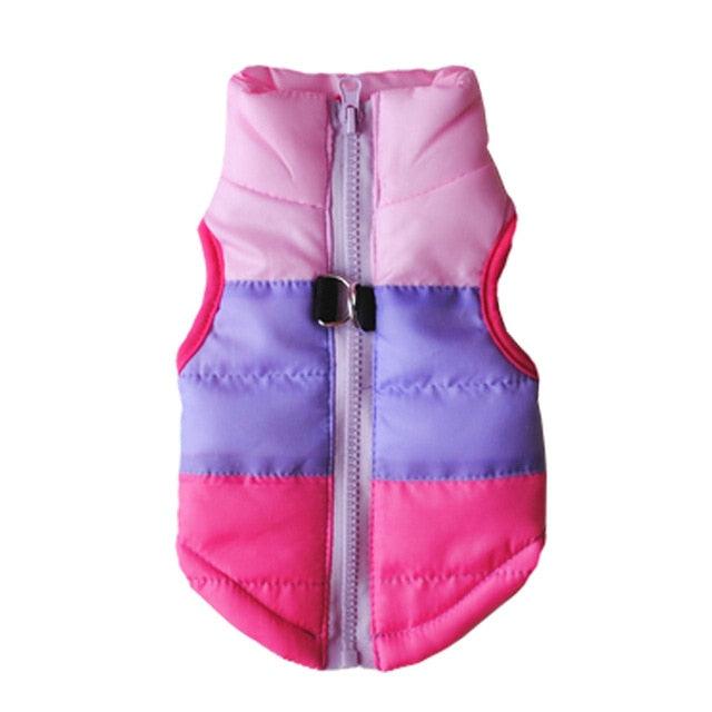 Winter Padded Jacket for Dog - Item - BYTOODAY