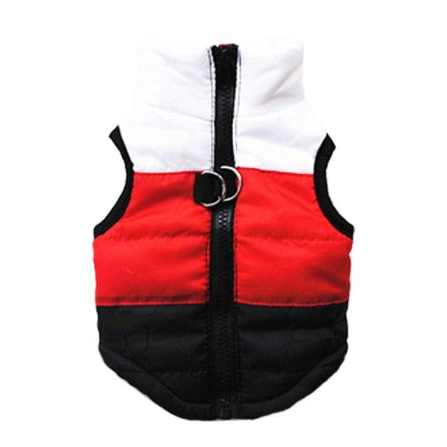 Winter Padded Jacket for Dog - Item - BYTOODAY